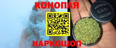 сатива Брянск
