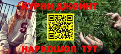 сатива Брянск