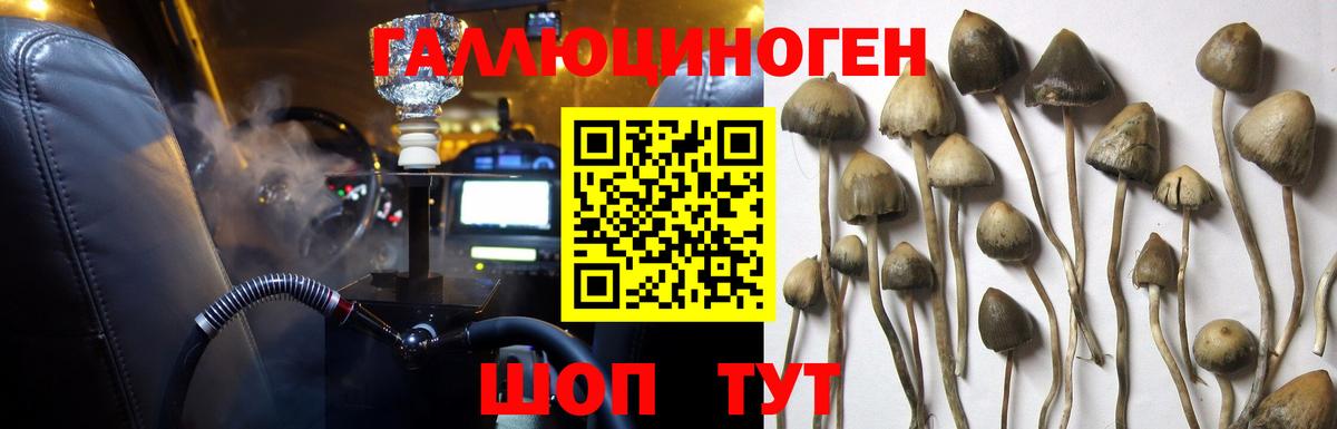 Псилоцибиновые грибы Magic Shrooms Бирск