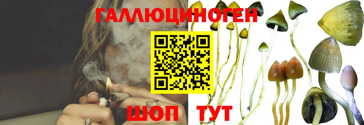 Псилоцибиновые грибы GOLDEN TEACHER  Вход с VPN  Псилоцибиновые грибы MAGIC MUSHROOMS  Бирск 
